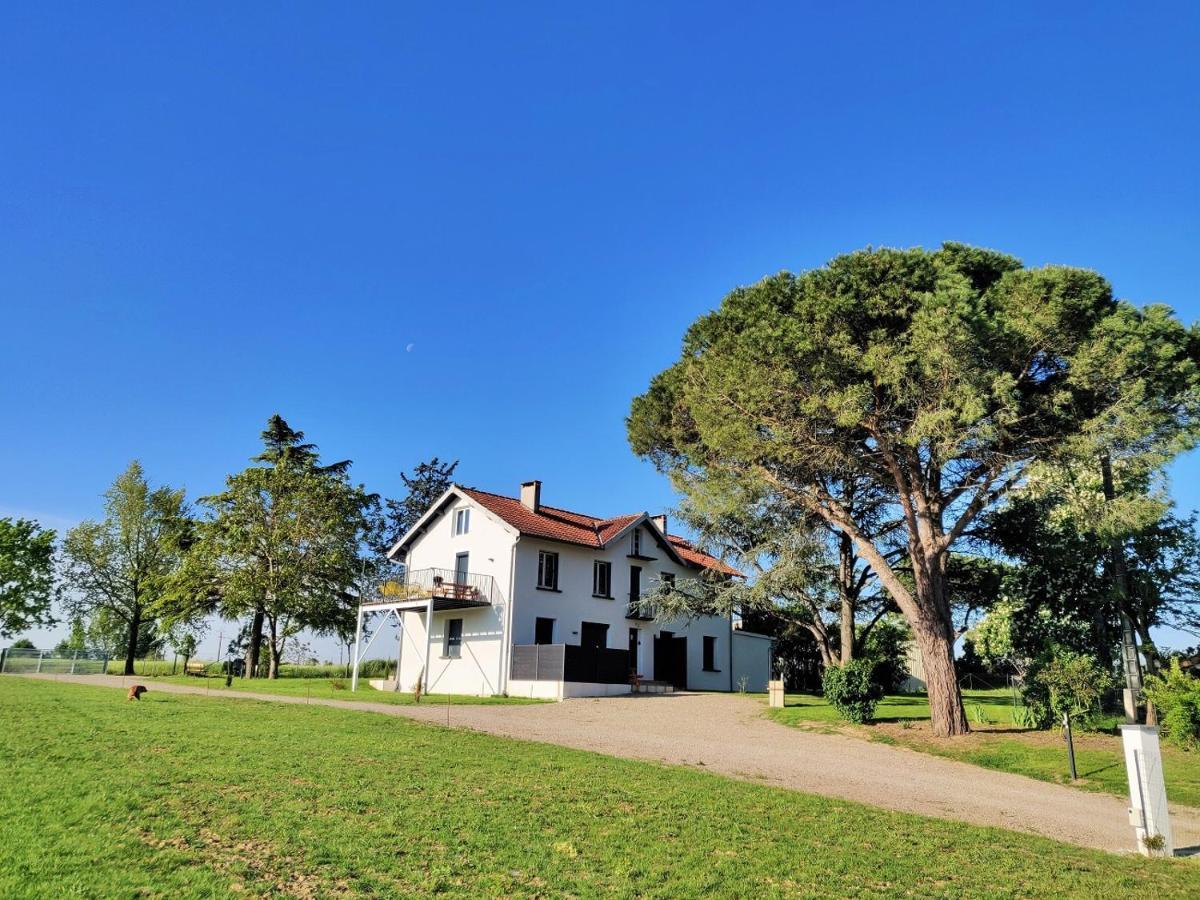 Le Cottage Duo Vigne Rouge Sauna Gaillac Entre Albi-Toulouse & Les Cottages Du Tarn Brens  Exterior photo